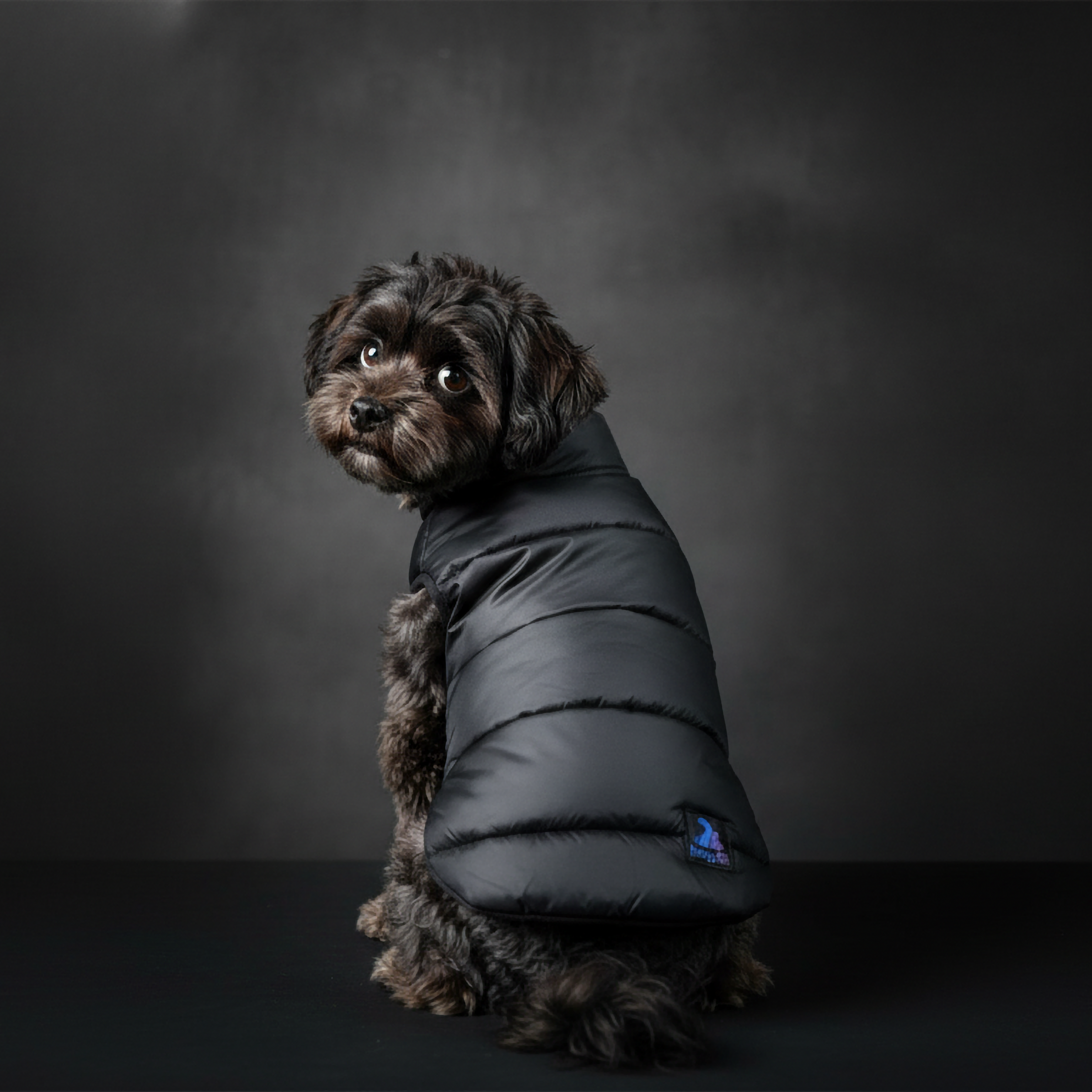 Midnight Puff Black Quilted Jacket – Sleek Winter Pet Jacket