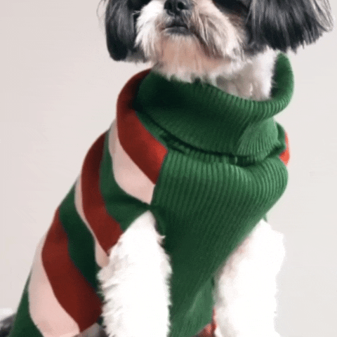 EarthBound Stripes Sweater – Classic Striped Winter Pet Sweater