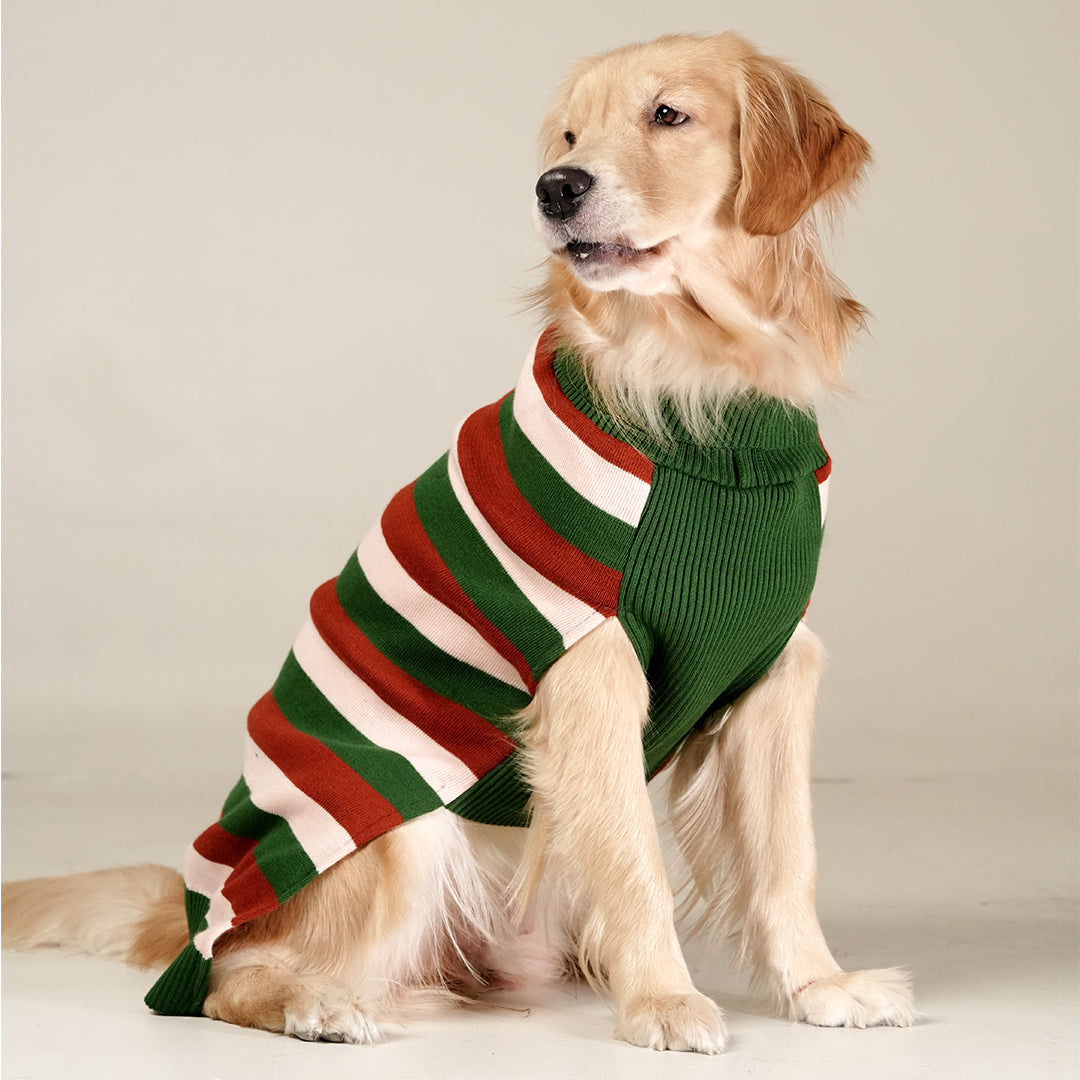 EarthBound Stripes Sweater – Classic Striped Winter Pet Sweater