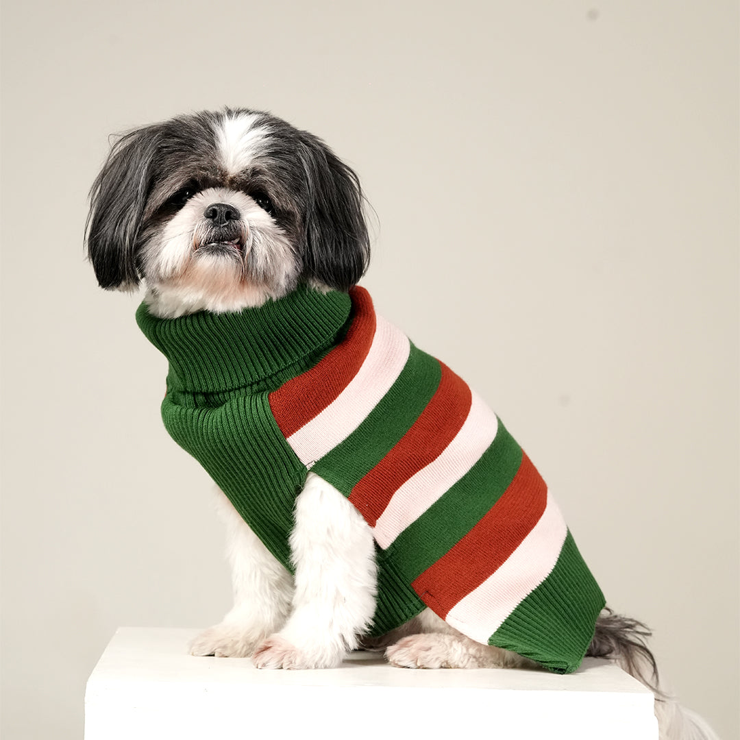 EarthBound Stripes Sweater – Classic Striped Winter Pet Sweater