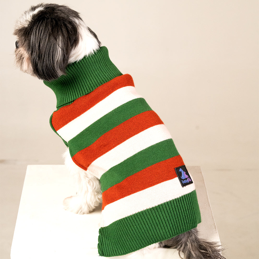 EarthBound Stripes Sweater – Classic Striped Winter Pet Sweater