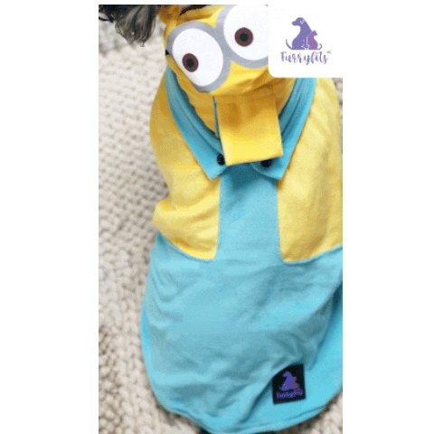 Furryfits Minion Mischief Hoodie – Playful Yellow Winter Pet Hoodie