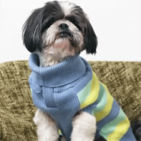 Morning Glow Knit Sweater – Warm Winter Pet Sweater