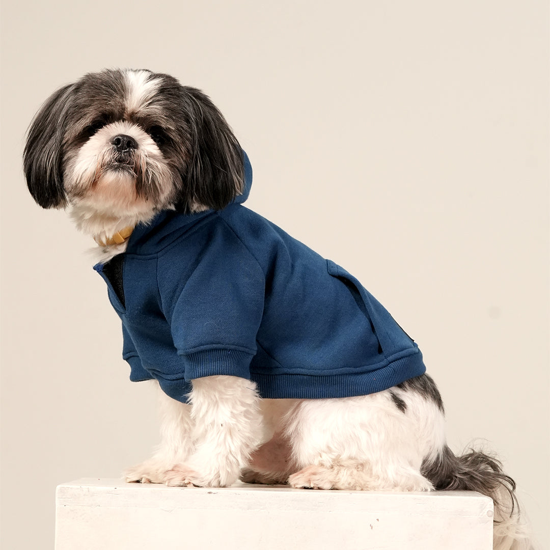 MidSky Lounge Hoodie – Cool Blue Winter Pet Hoodie