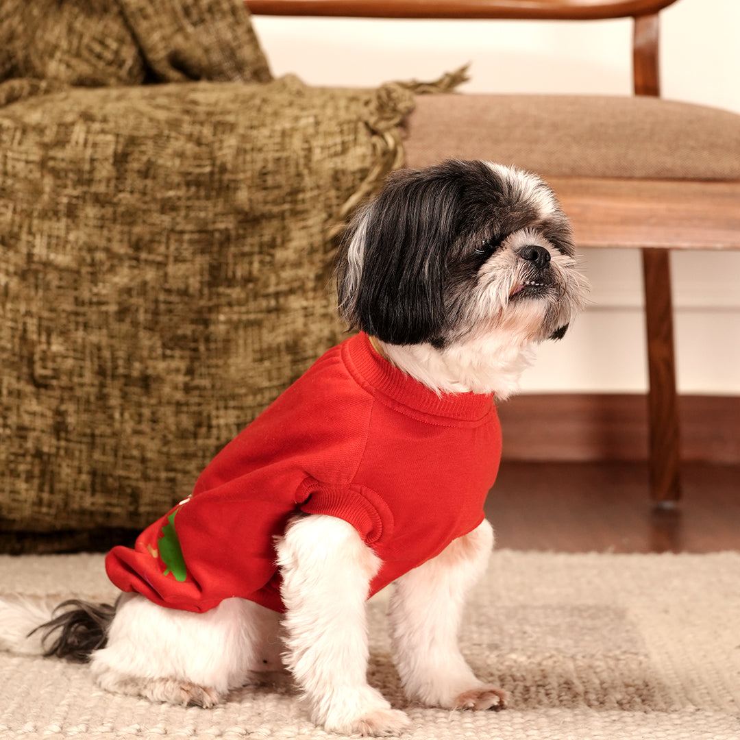 Jingle Joy Tee – Christmas Red Winter Pet Tee