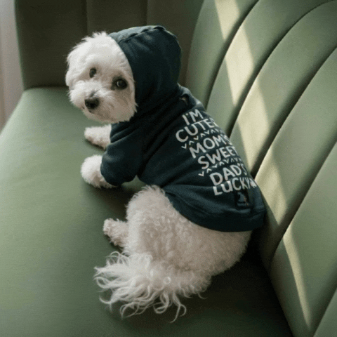 Olive Snug Hoodie – Cozy Olive Green Winter Pet Hoodie