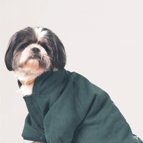 Olive Snug Hoodie – Cozy Olive Green Winter Pet Hoodie