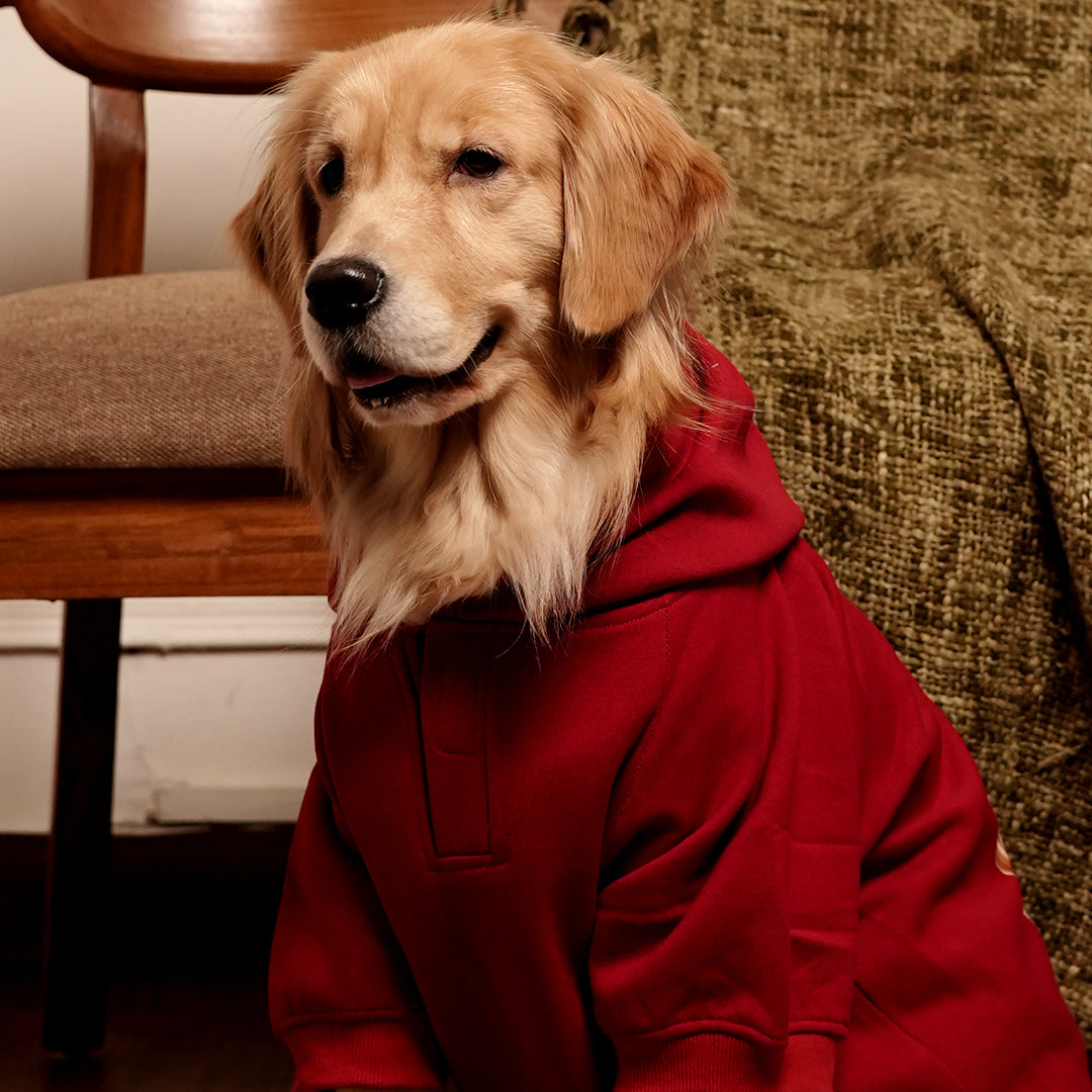 Rudolph Red Hoodie – Festive Red Winter Pet Hoodie
