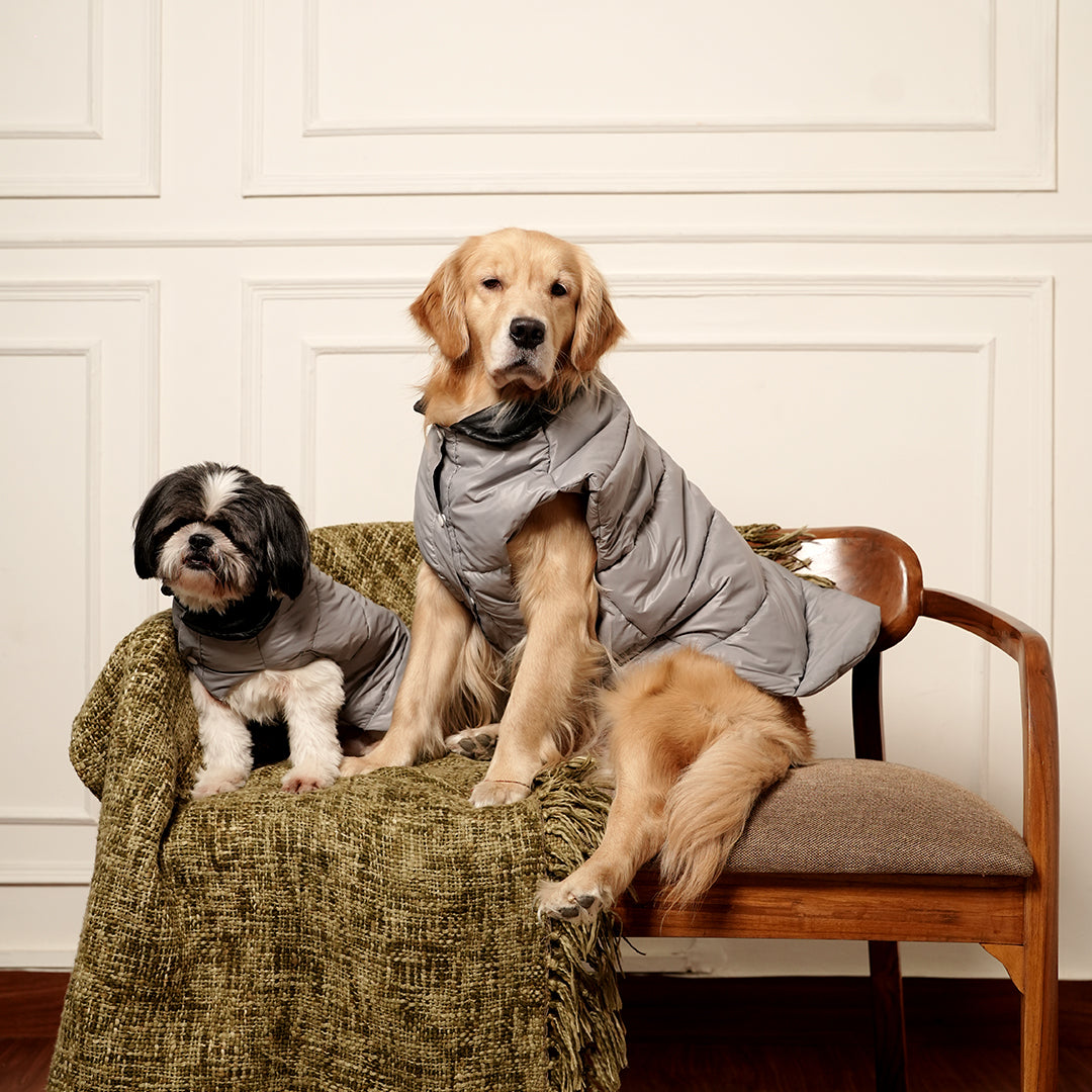 GreyWhisper Puffer – Elegant Grey Winter Pet Jacket