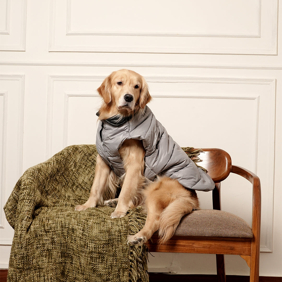 GreyWhisper Puffer – Elegant Grey Winter Pet Jacket