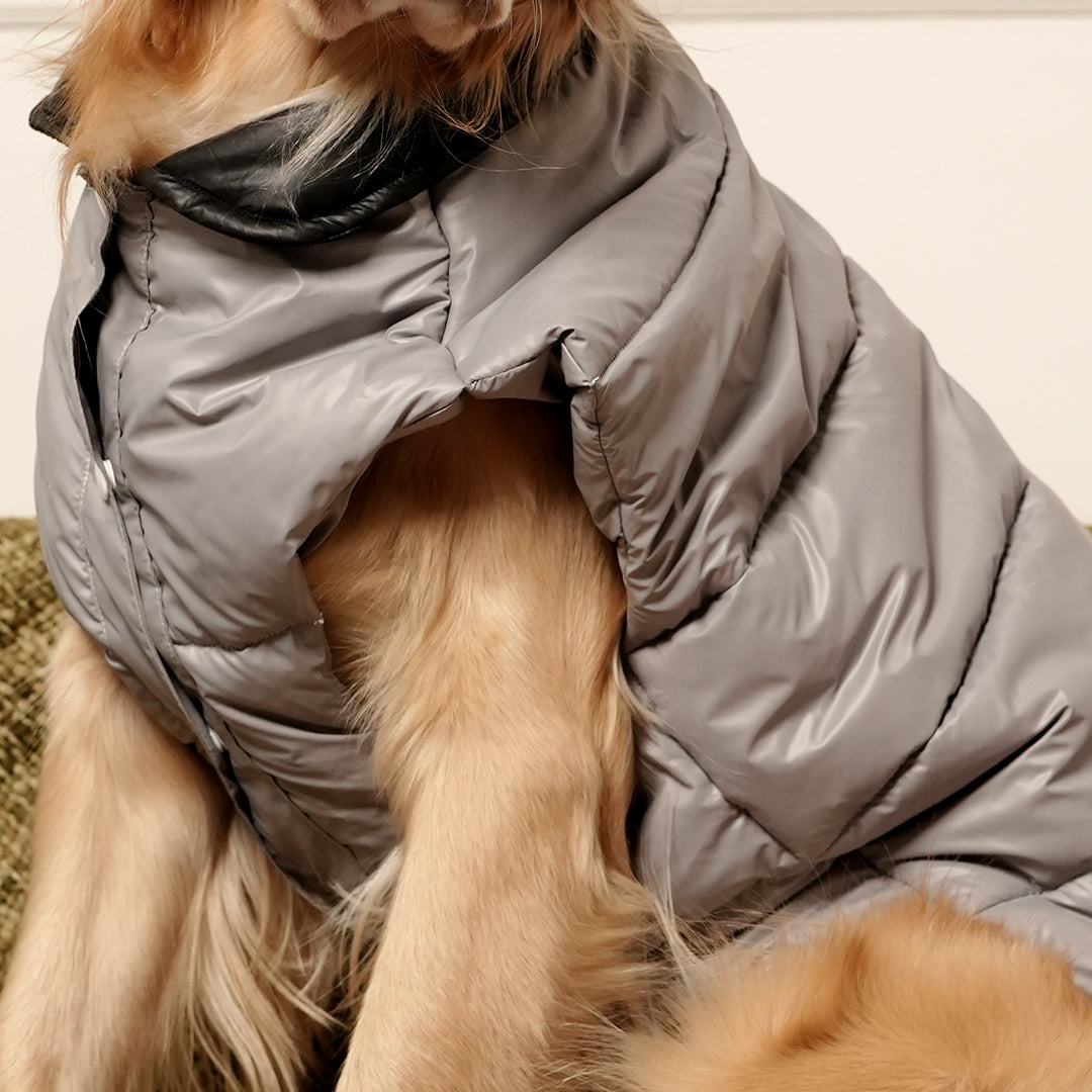 GreyWhisper Puffer – Elegant Grey Winter Pet Jacket