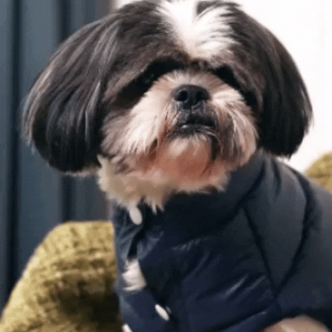 Midnight Puff Jacket – Sleek Blue Winter Pet Jacket