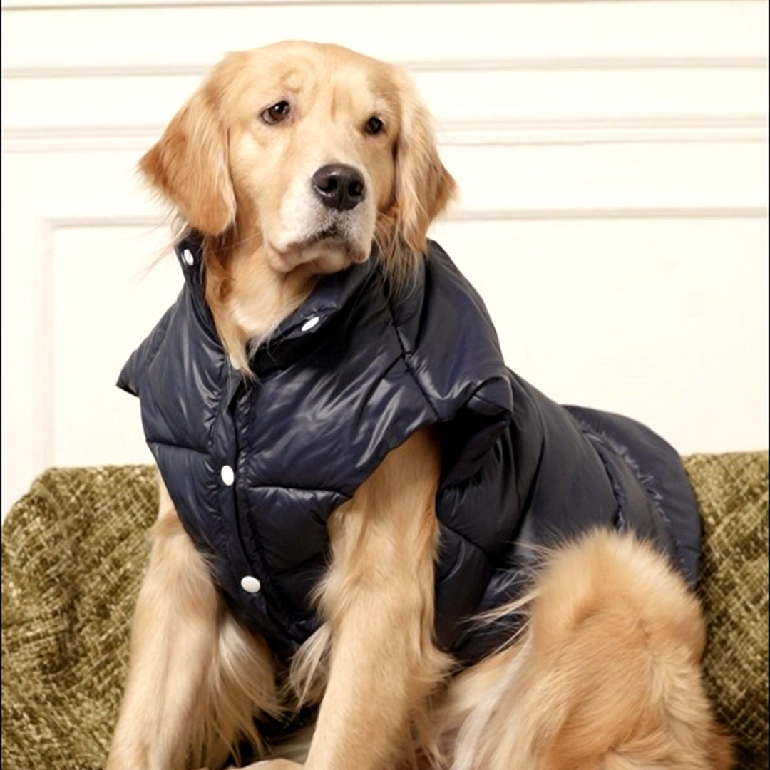 Midnight Puff Jacket – Sleek Blue Winter Pet Jacket