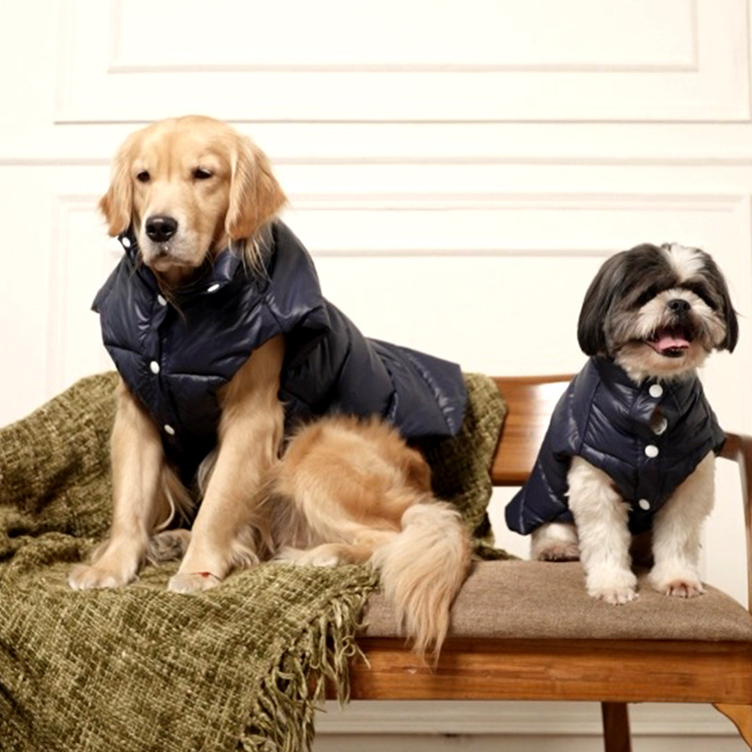 Midnight Puff Jacket – Sleek Blue Winter Pet Jacket