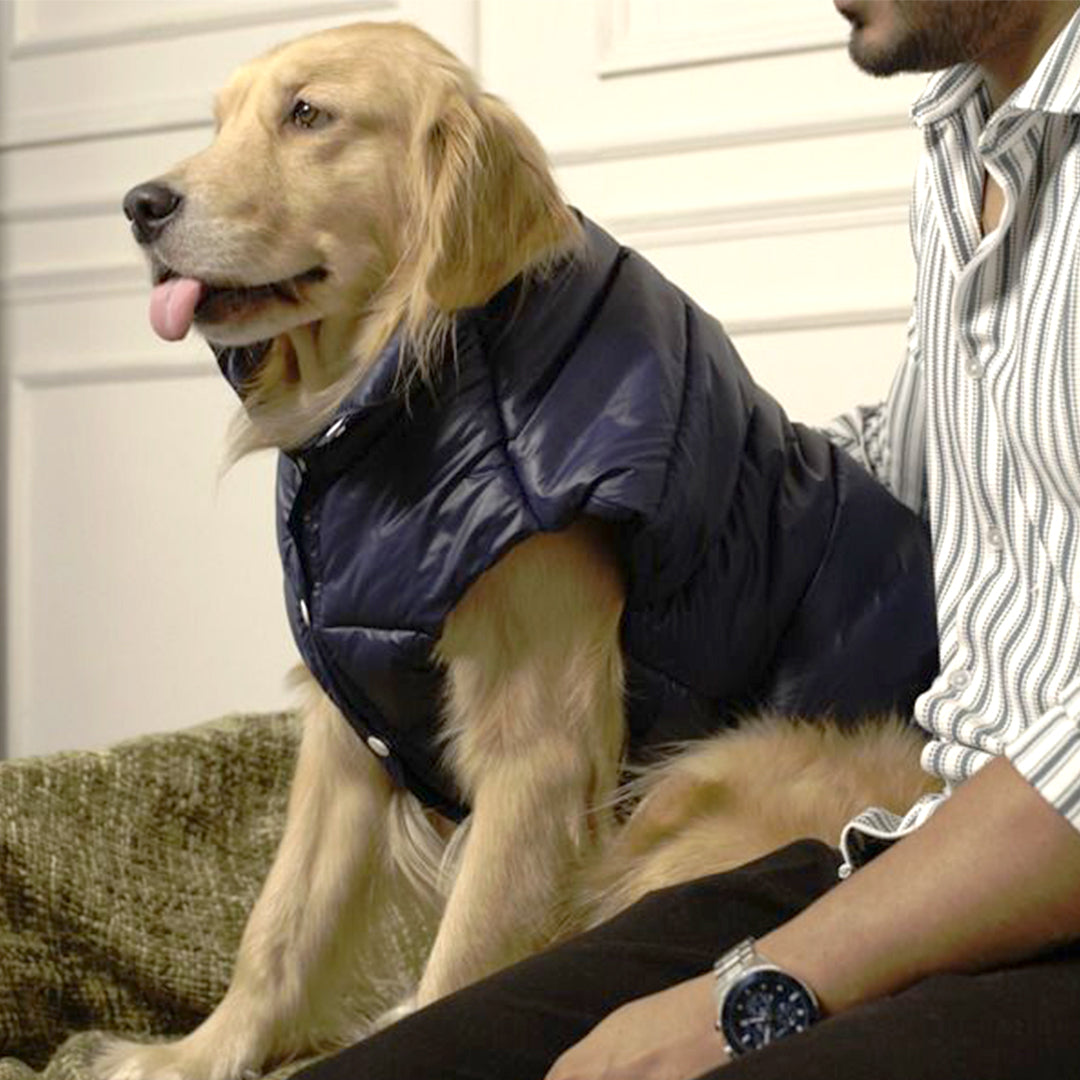 Midnight Puff Jacket – Sleek Blue Winter Pet Jacket