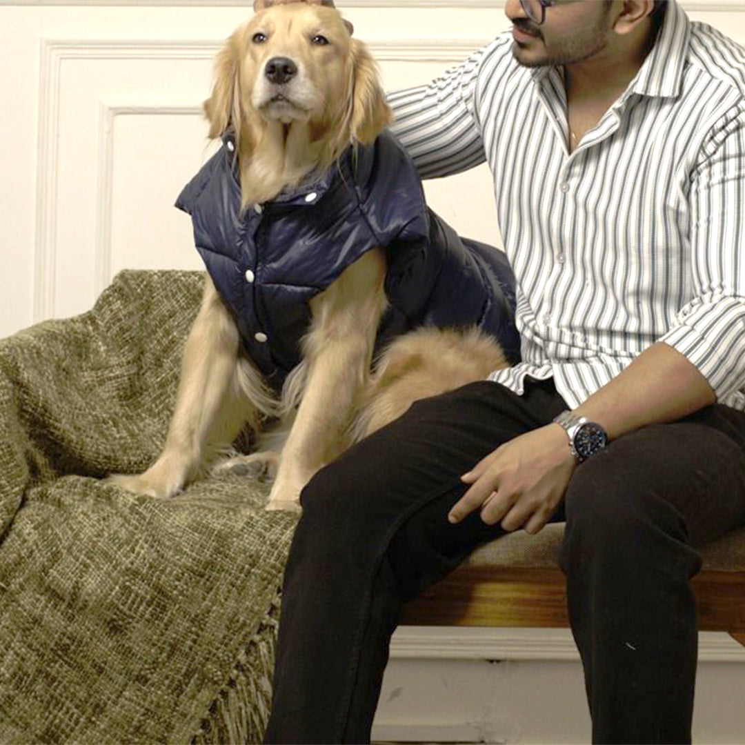 Midnight Puff Jacket – Sleek Blue Winter Pet Jacket