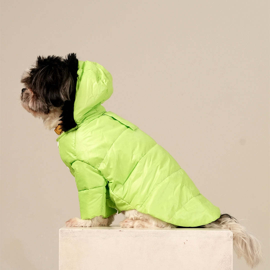 Neon Nibble Pet Hoodie – Stylish & Warm Pet Hoodie by FurryFits