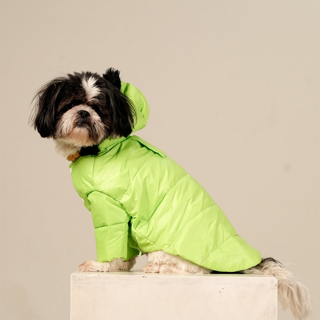 Neon Nibble Pet Hoodie – Stylish & Warm Pet Hoodie by FurryFits