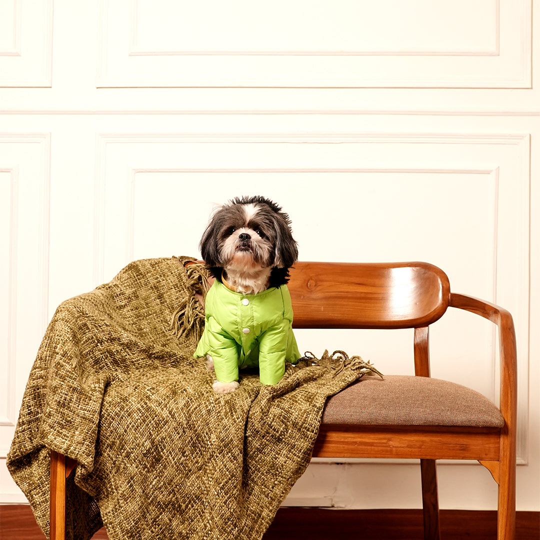 Neon Nibble Pet Hoodie – Stylish & Warm Pet Hoodie by FurryFits