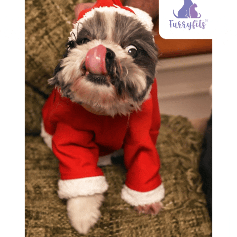 Santa Paws Hoodie – Festive Red Fleece Pet Hoodie