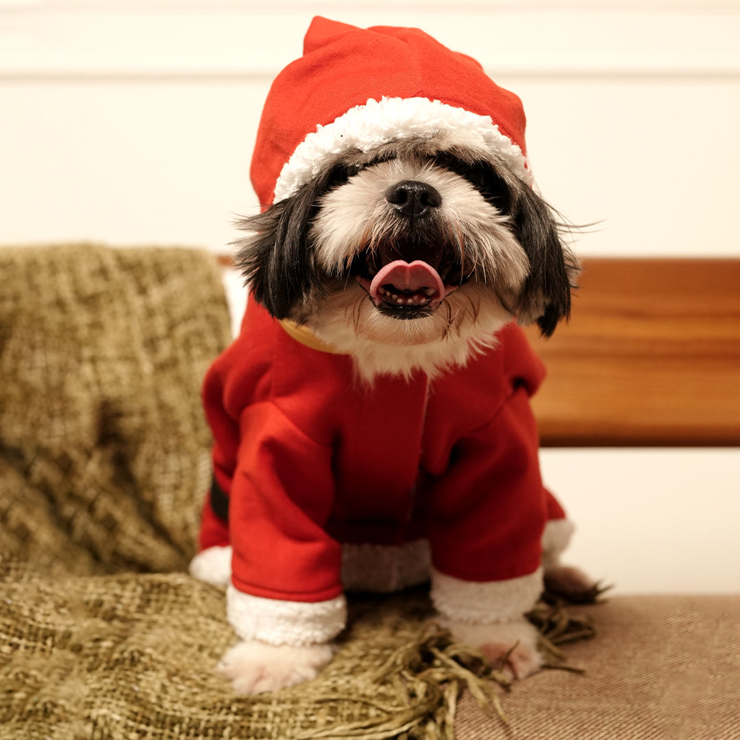 Santa Paws Hoodie – Festive Red Fleece Pet Hoodie