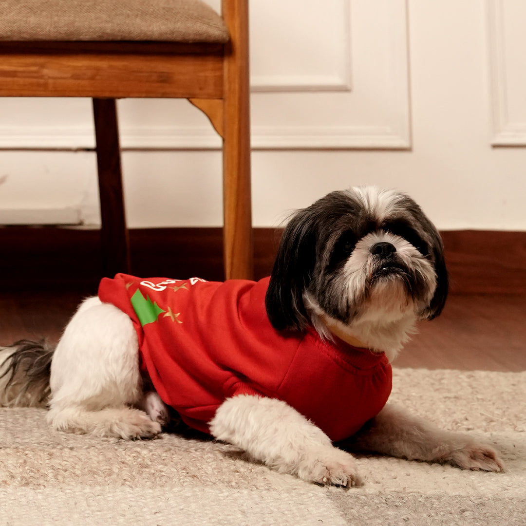 Christmas Wishes Hoodie – Festive Red Fleece Pet Hoodie