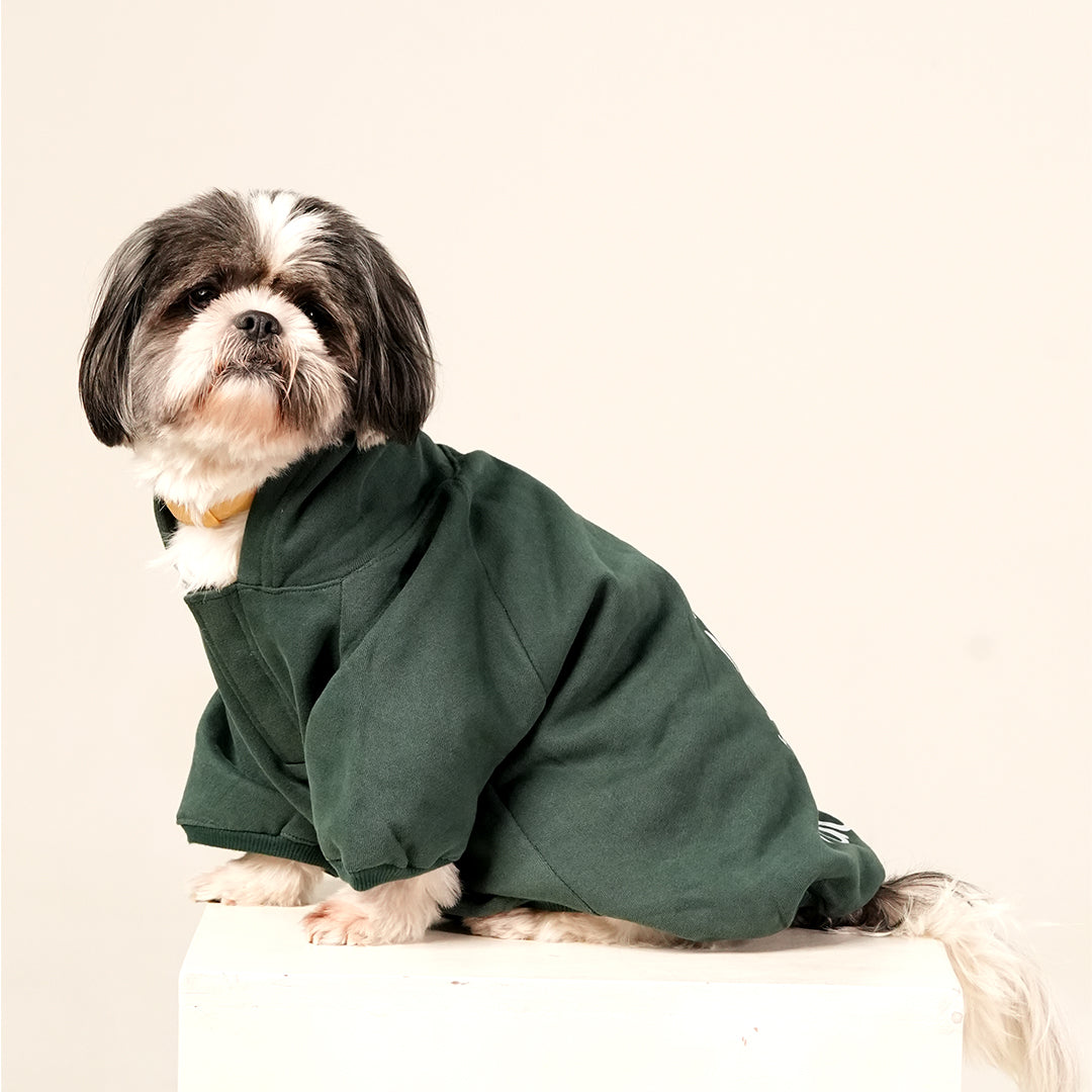 Emerald Charm Hoodie – Elegant Green Fleece Pet Hoodie