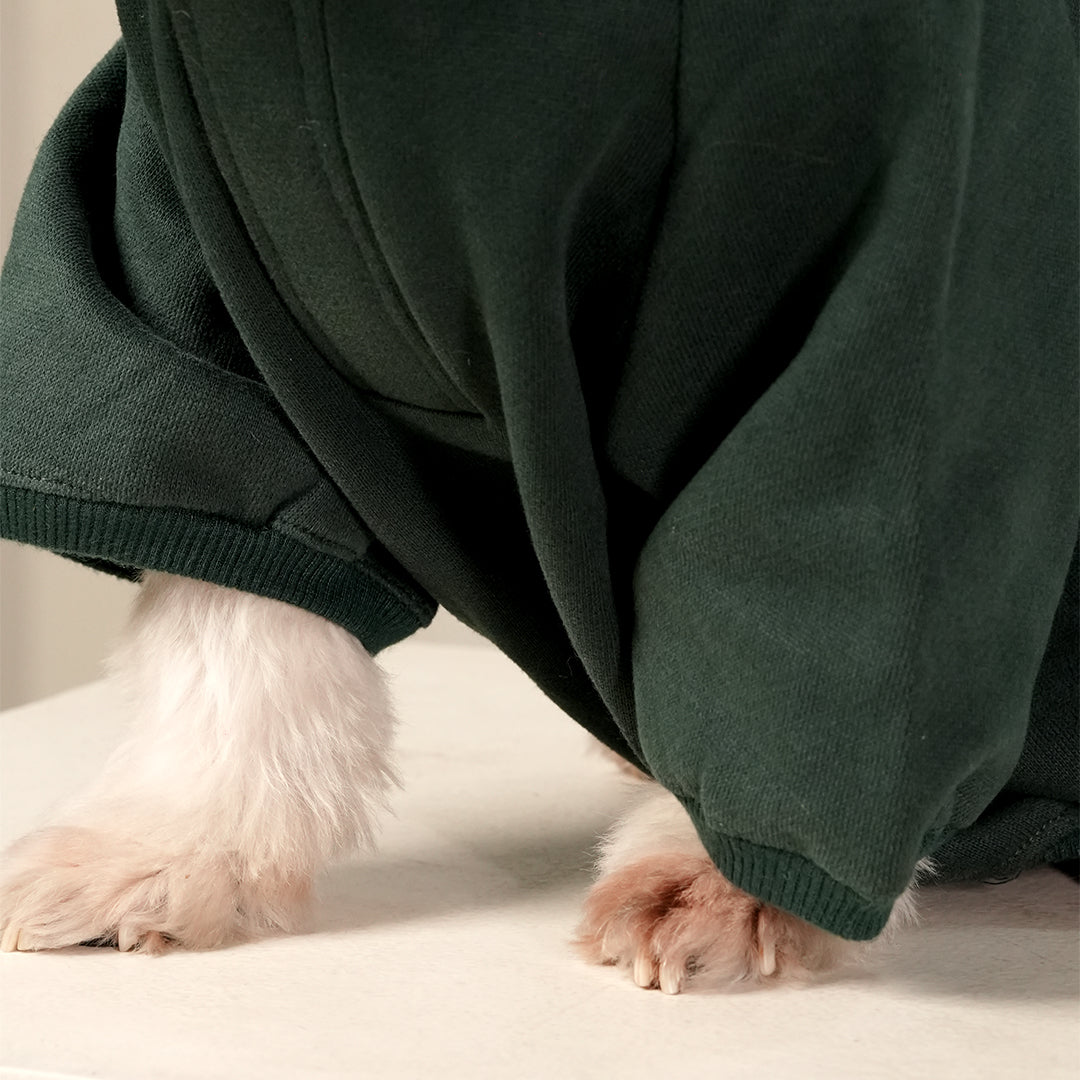 Emerald Charm Hoodie – Elegant Green Fleece Pet Hoodie