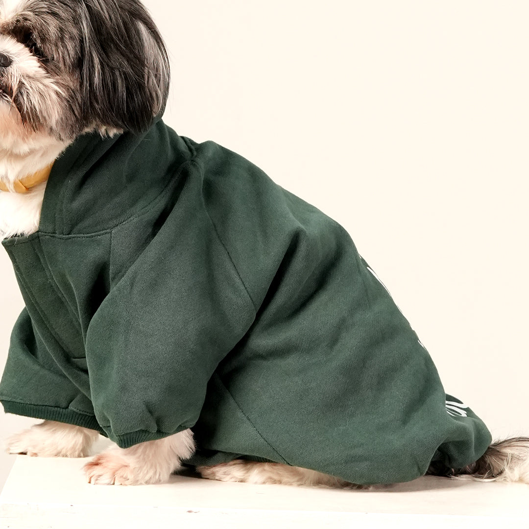 Emerald Charm Hoodie – Elegant Green Fleece Pet Hoodie