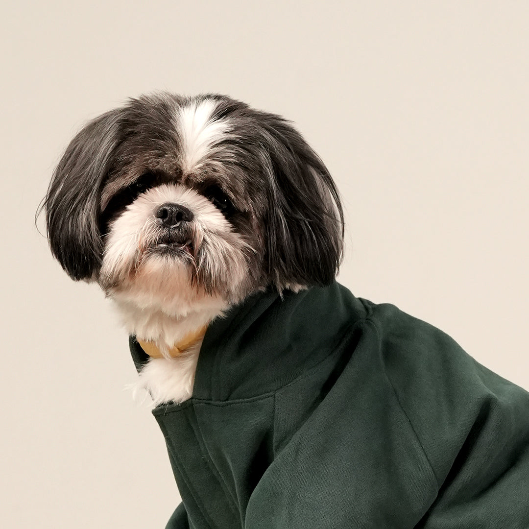 Emerald Charm Hoodie – Elegant Green Fleece Pet Hoodie