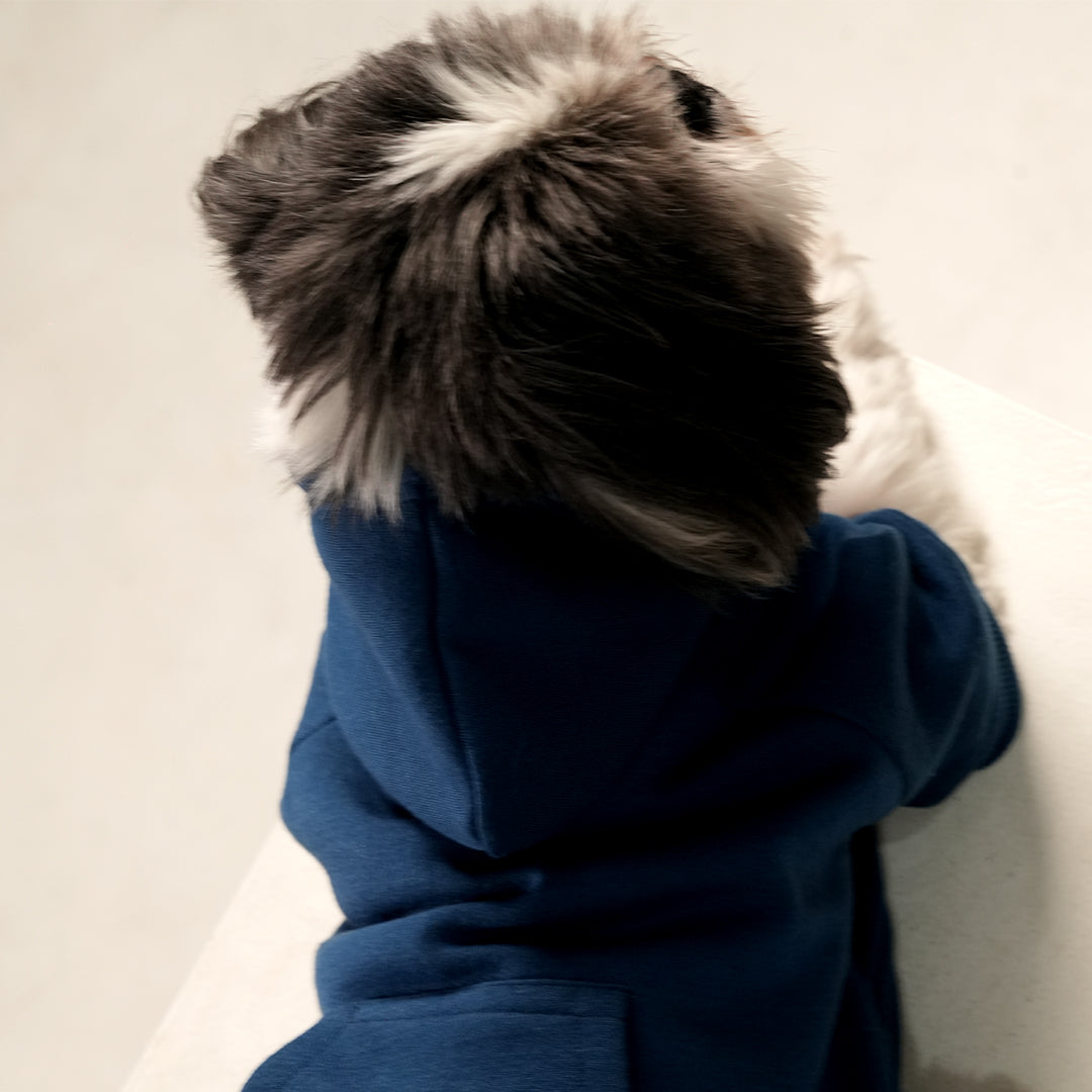 Blue Breeze Hoodie – Cool Blue Fleece Pet Hoodie