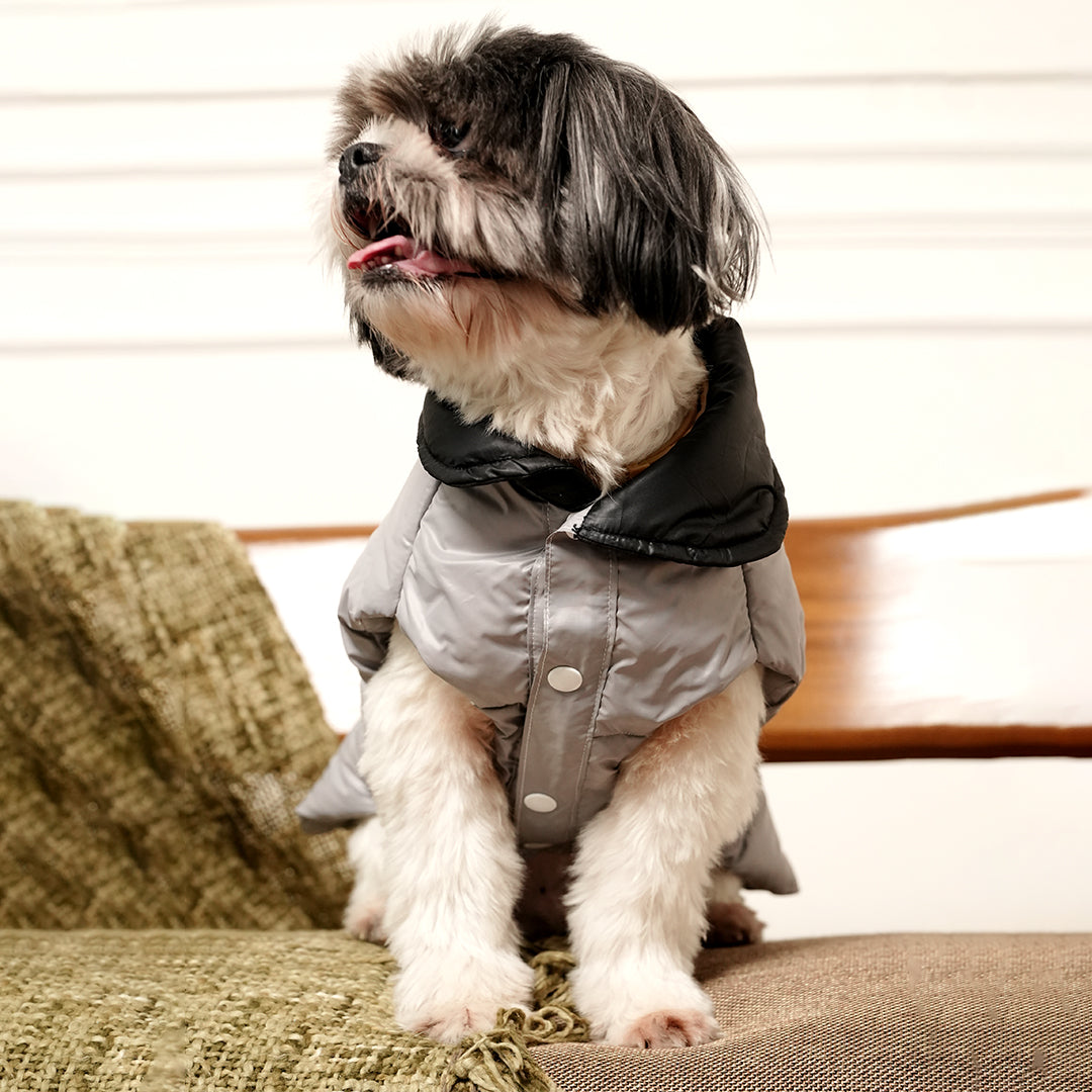 Arctic Pup Jacket – Sleek Grey Winter Pet Jacket