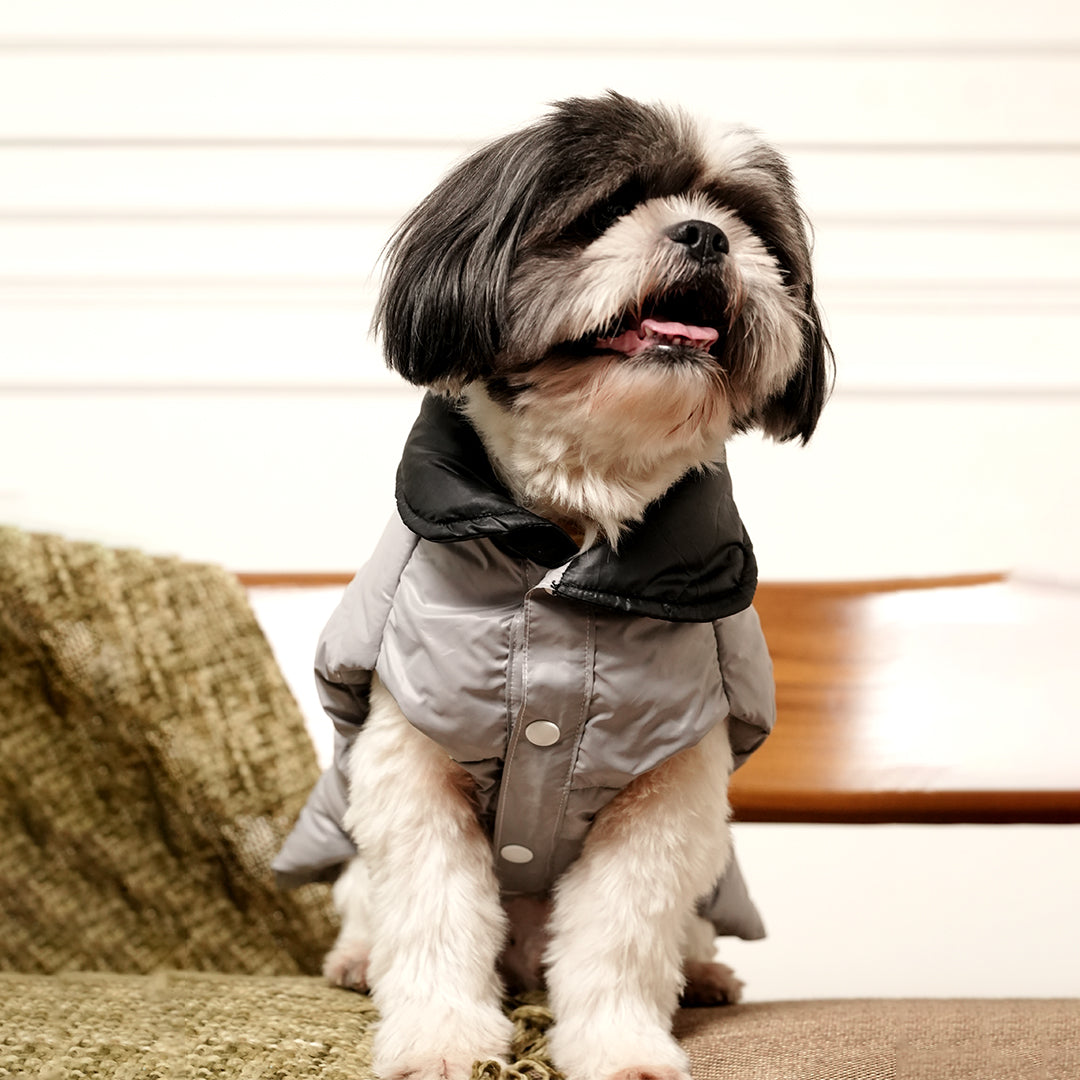 Arctic Pup Jacket – Sleek Grey Winter Pet Jacket