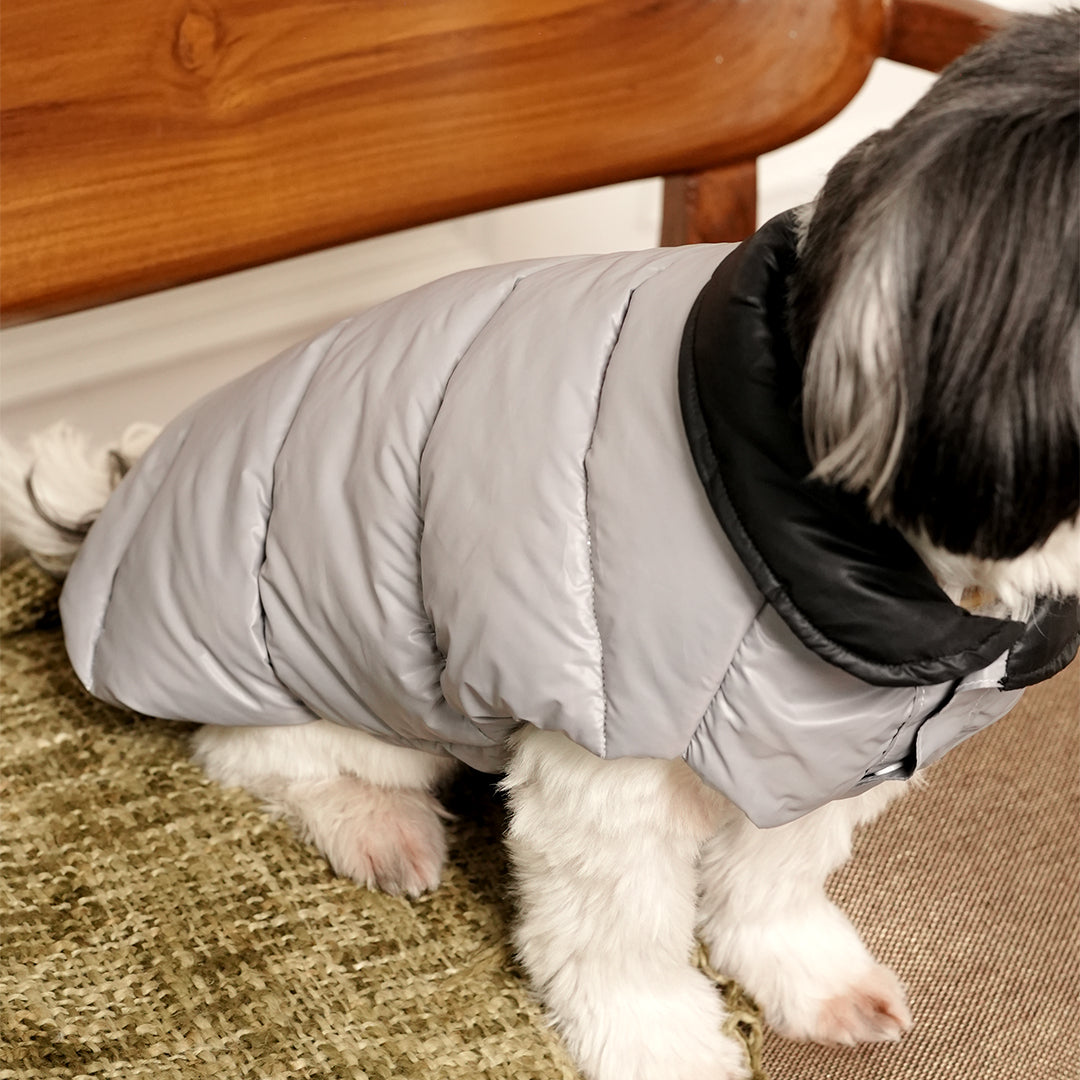 Arctic Pup Jacket – Sleek Grey Winter Pet Jacket