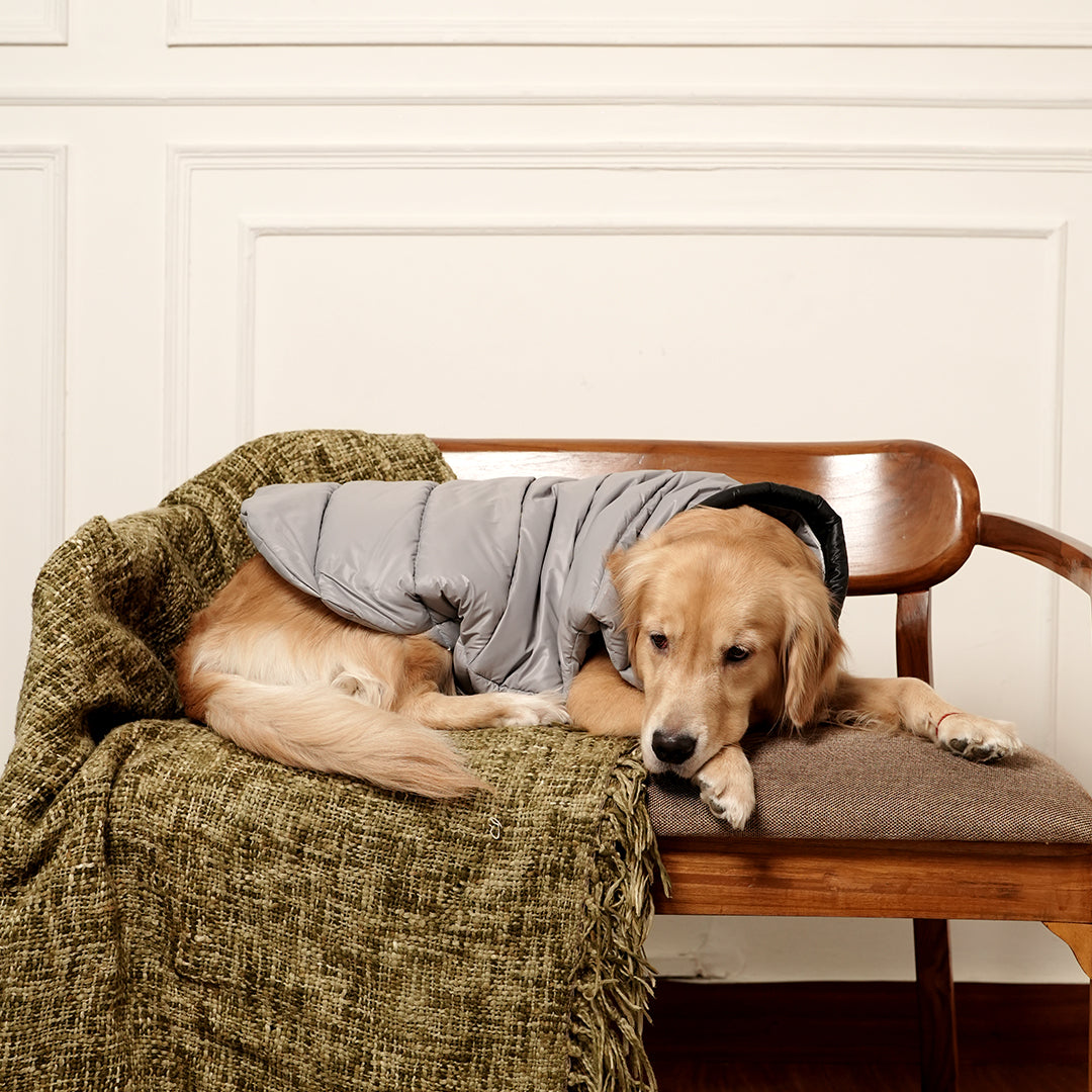 Arctic Pup Jacket – Sleek Grey Winter Pet Jacket