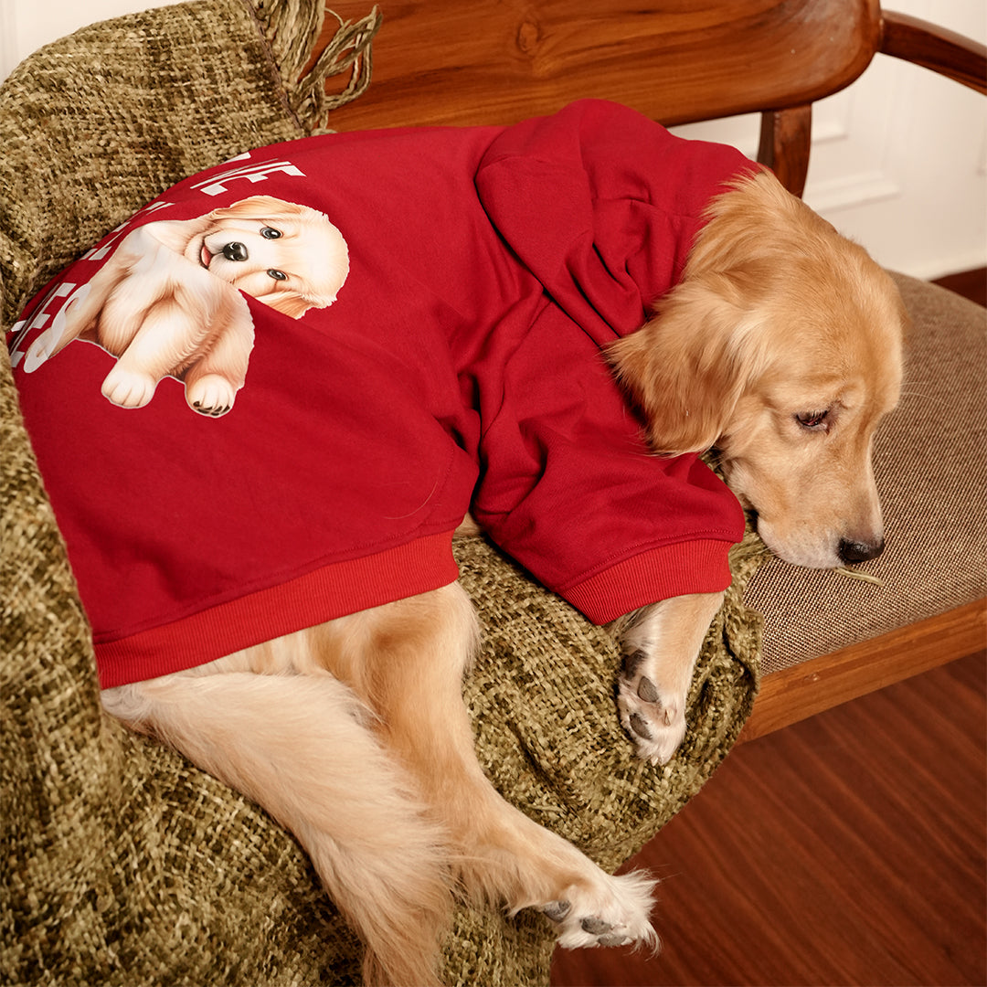 Scarlet Snuggles Hoodie – Cozy Red Fleece Pet Hoodie