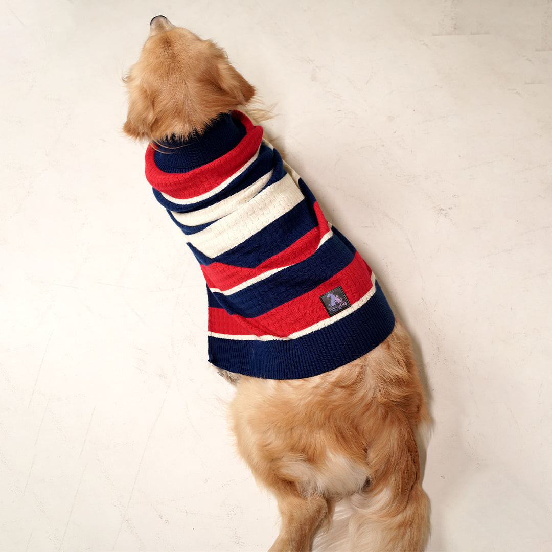 Harbor Stripes Sweater – Classic Nautical Knit Pet Sweater