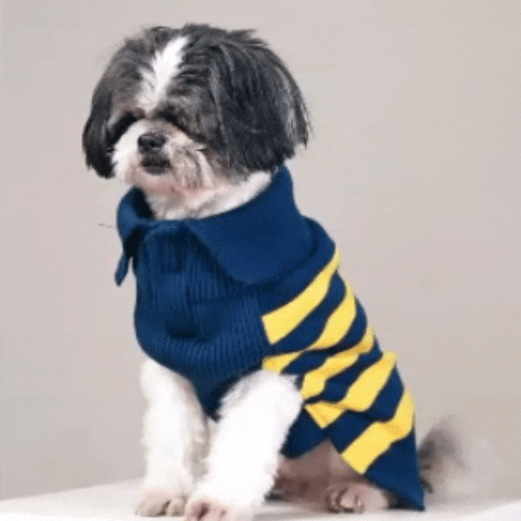 Honeybee Hug Sweater – Cozy Yellow Knit Pet Sweater