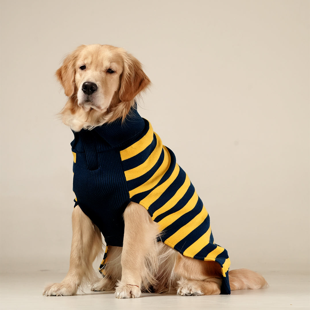 Honeybee Hug Sweater – Cozy Yellow Knit Pet Sweater