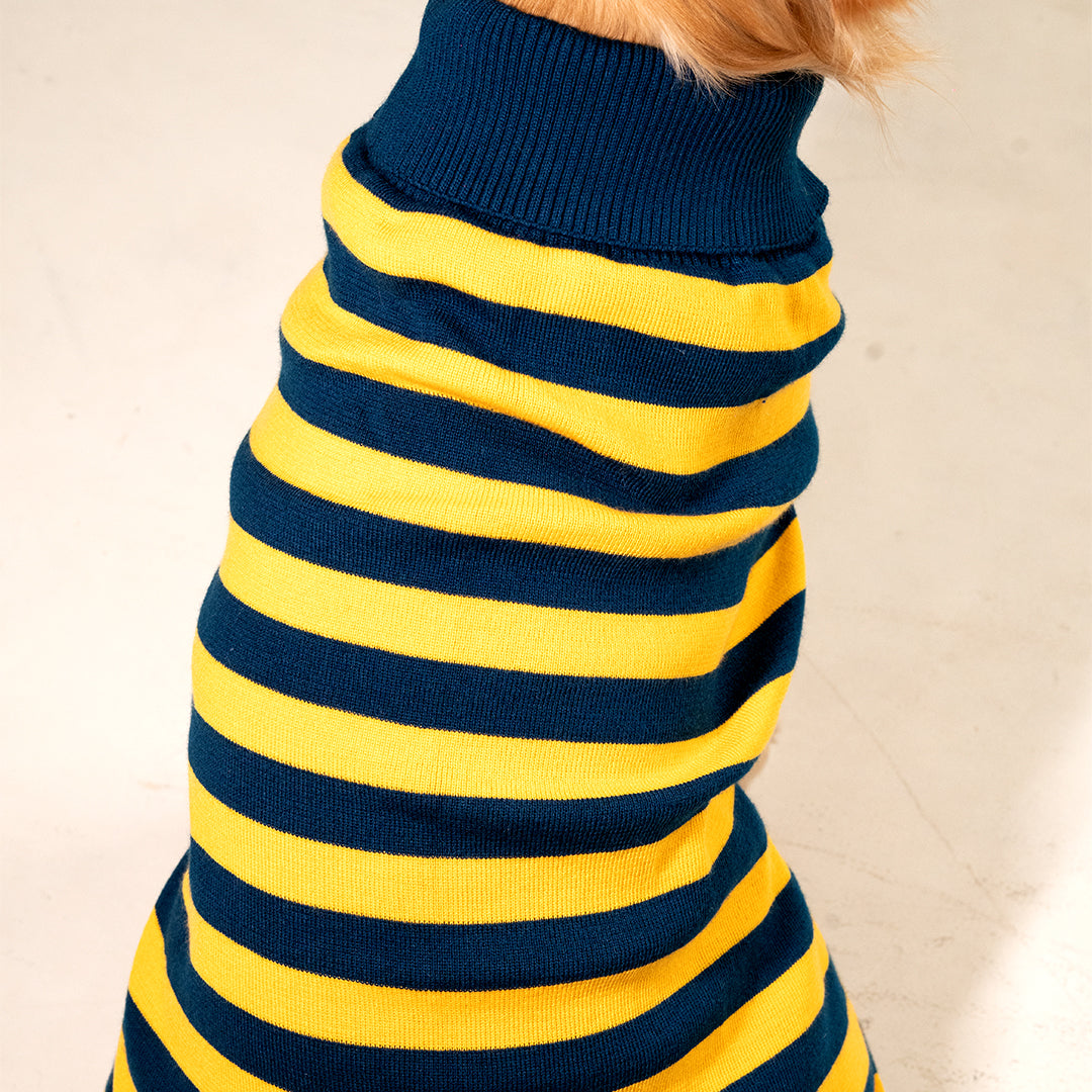 Honeybee Hug Sweater – Cozy Yellow Knit Pet Sweater