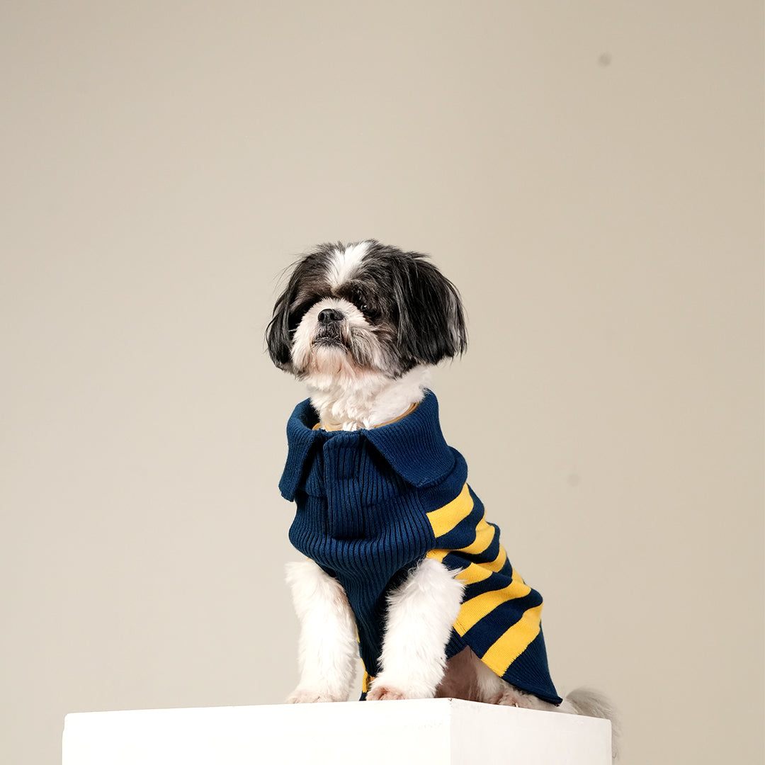 Honeybee Hug Sweater – Cozy Yellow Knit Pet Sweater