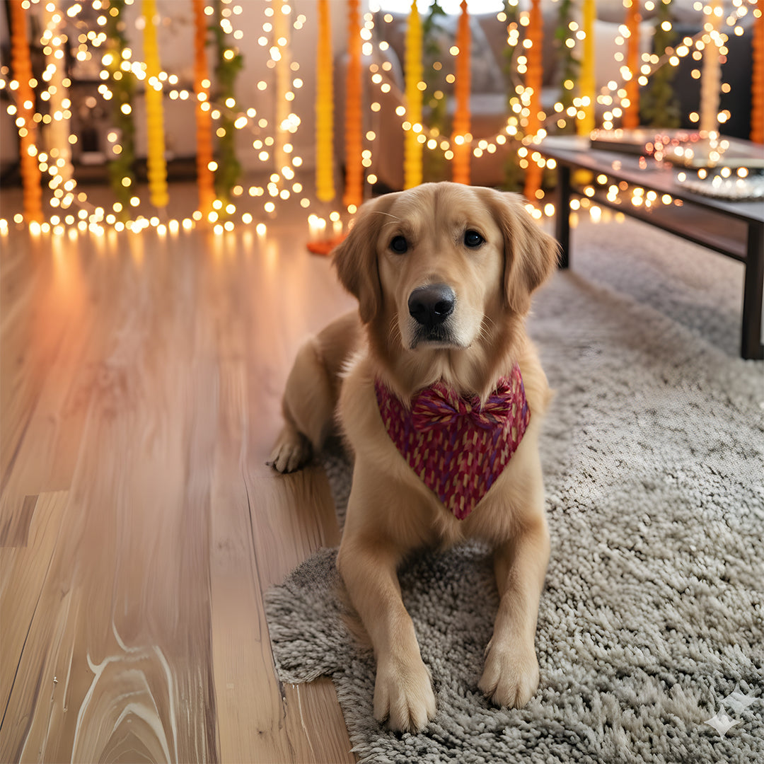 Multicolor Regal Bandana