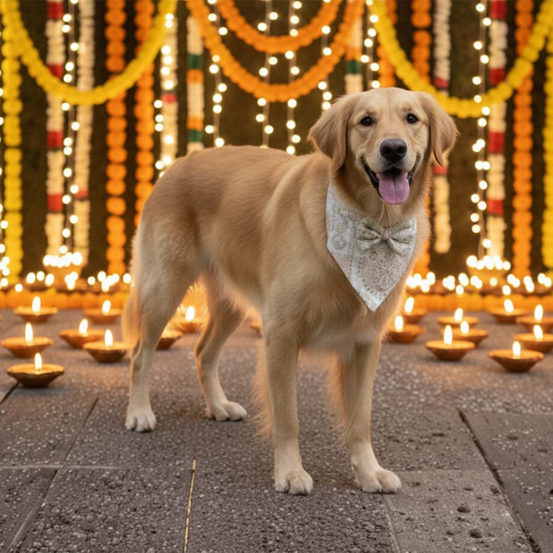 Carnival Bliss Festive Bandana