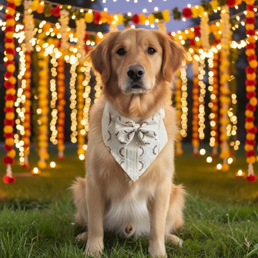 Scarlet Spark Festive Bandana