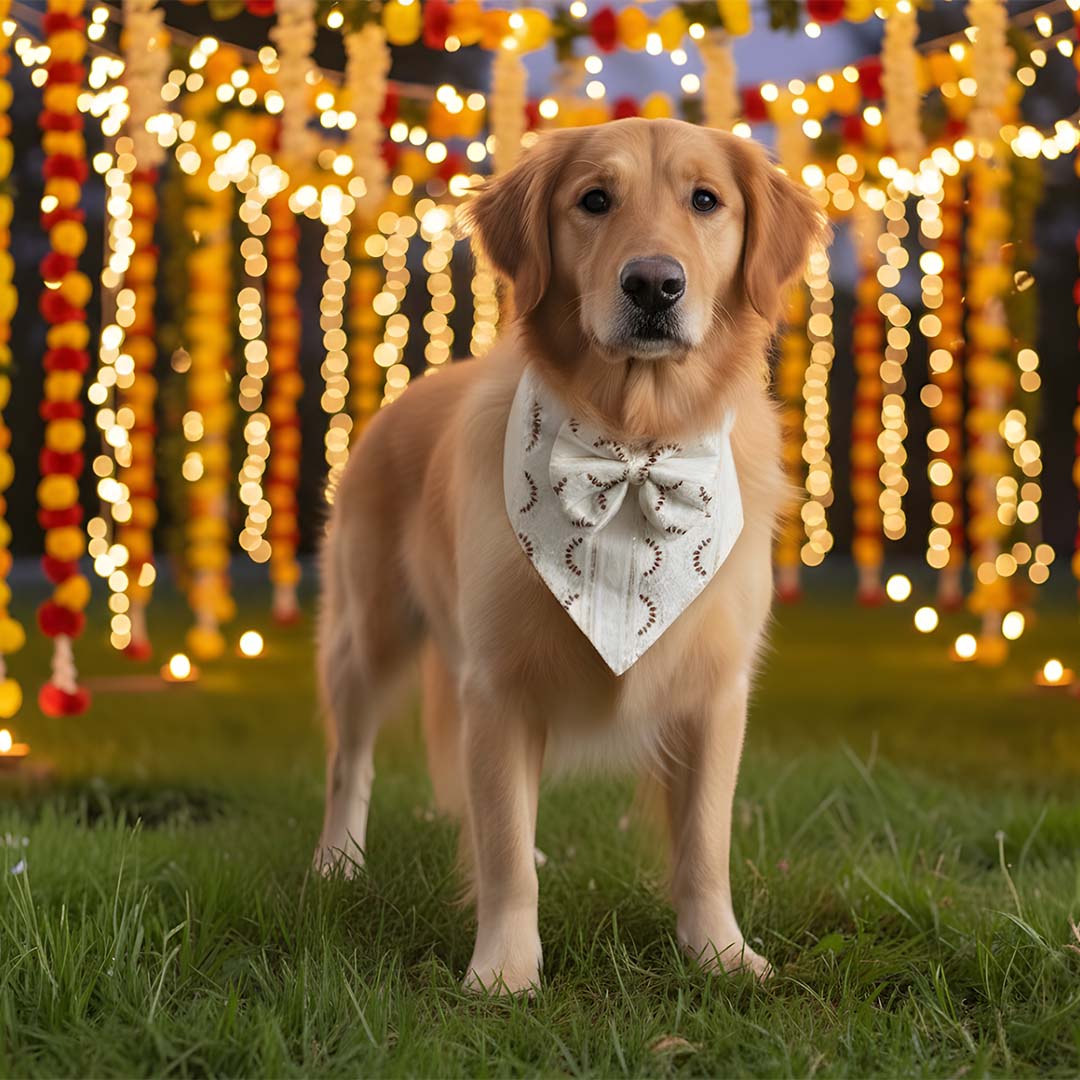 Scarlet Spark Festive Bandana