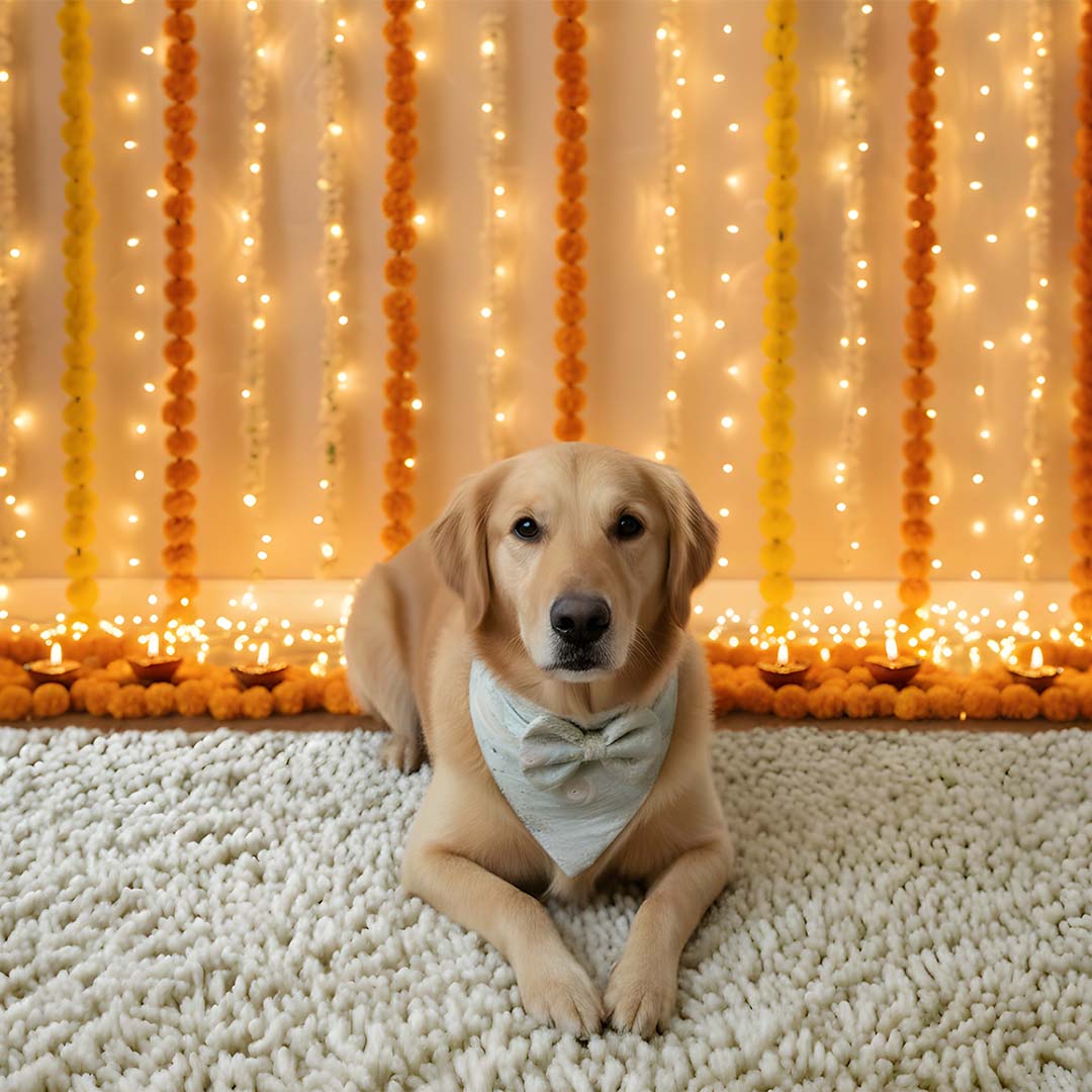 Mint Whirl Festive Bandana