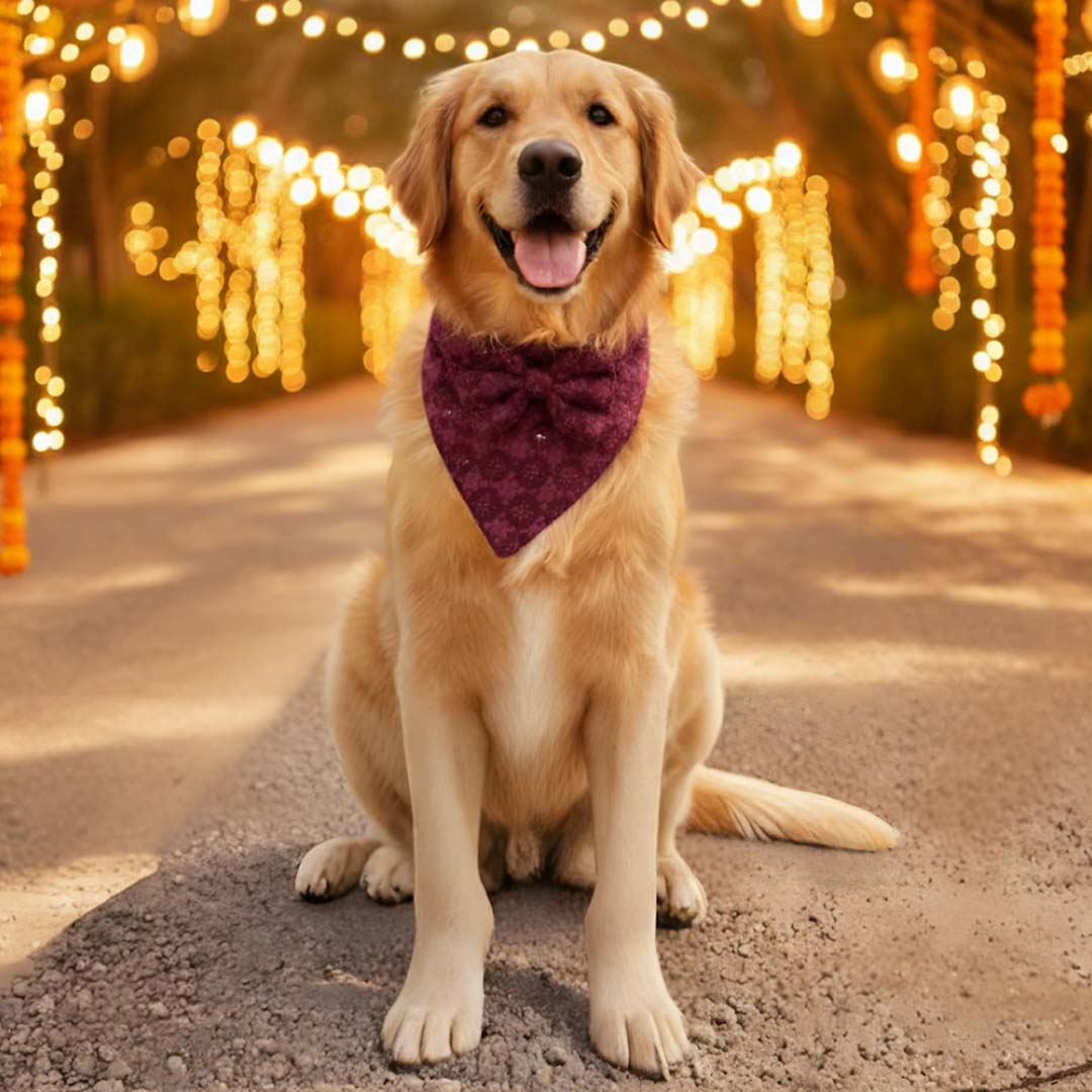 Crimson Charm Chikankari Bandana