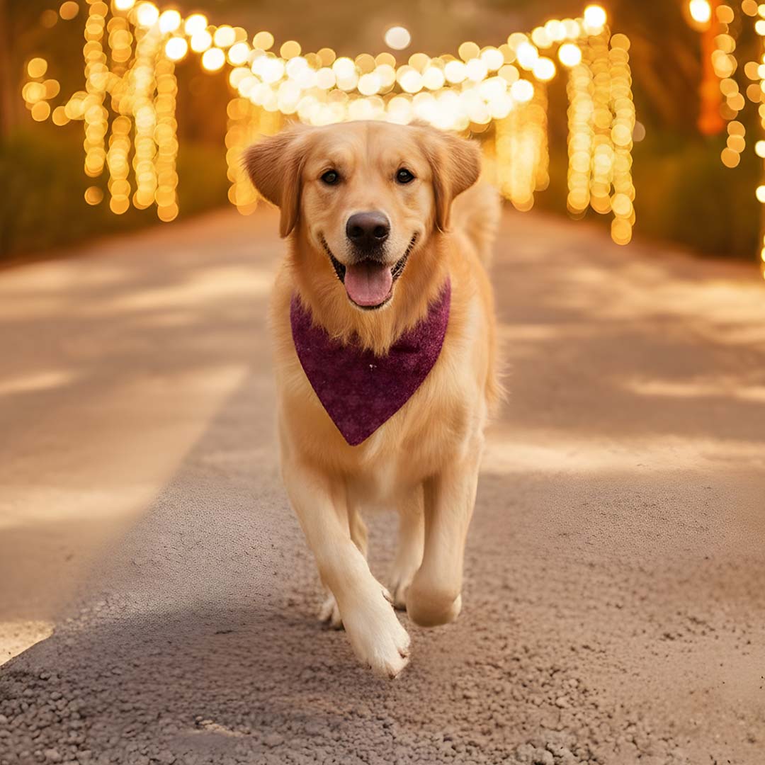 Crimson Charm Chikankari Bandana