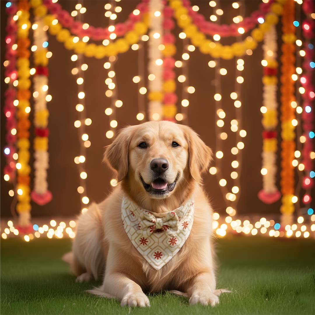 Regal Radiance Bandana