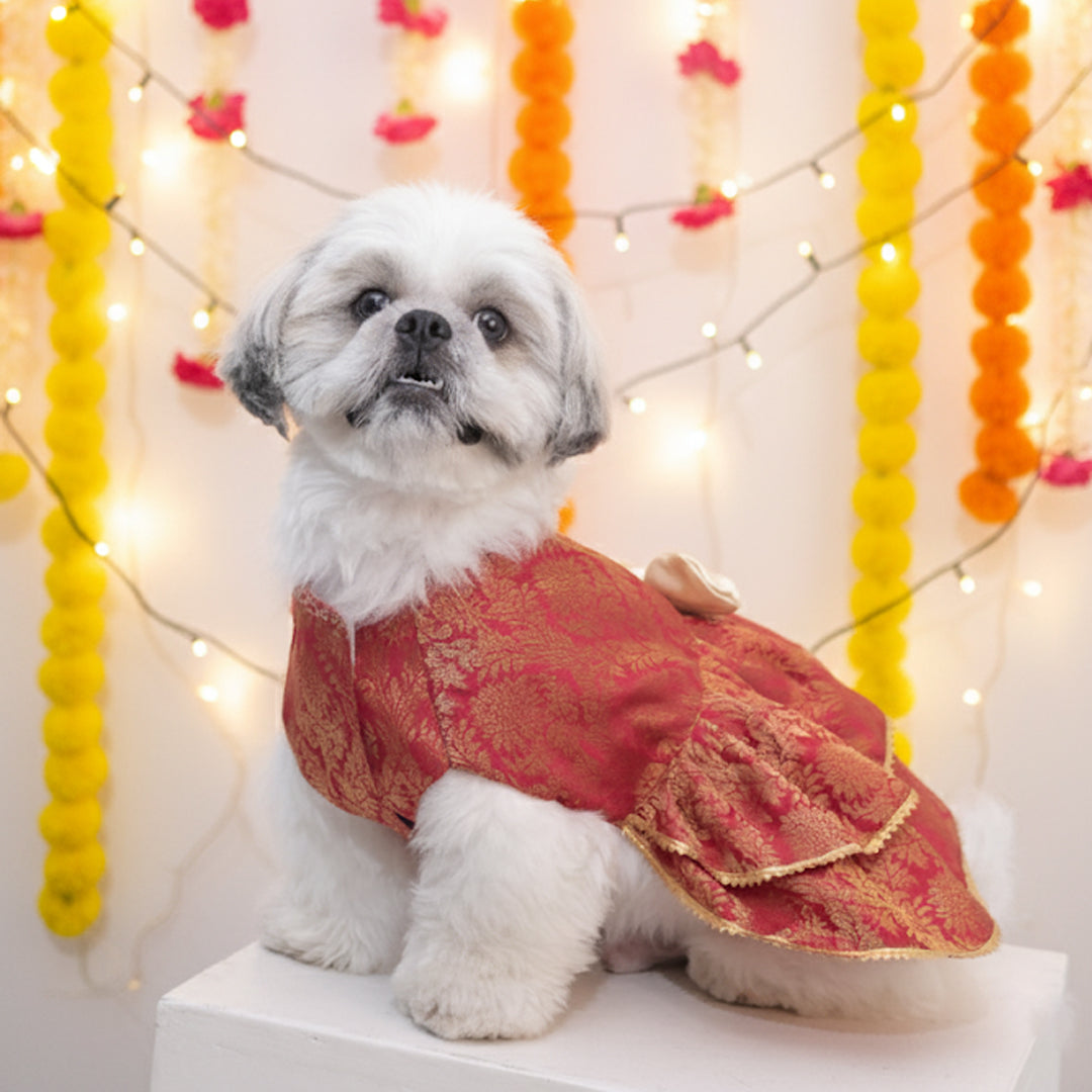 Maharani Pet Lehenga